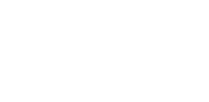 Hauptstadtfloss Logo 2026, Weiss